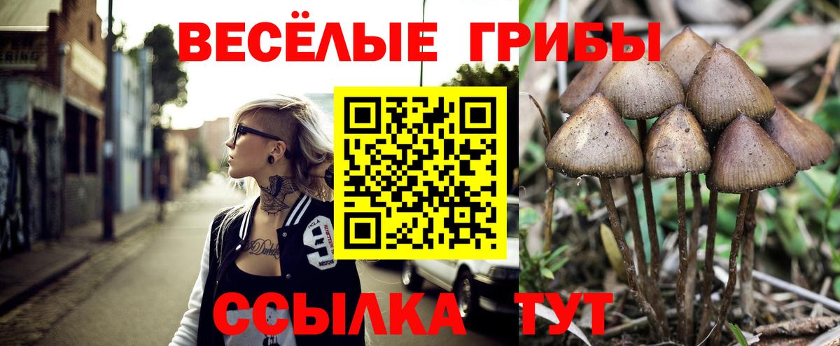 Галлюциногенные грибы MAGIC MUSHROOMS Нижнеудинск